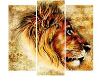 product-compare-58707937