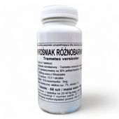 Ekstrakt Wrośniak Różnobarwny 400mg Podkowa Wysoka Zawartość Polisacharydów