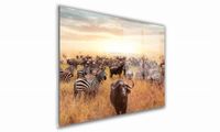 OBRAZ NA SZKLE PROSTOKĄTNY 90x60cm 135 Sawanna