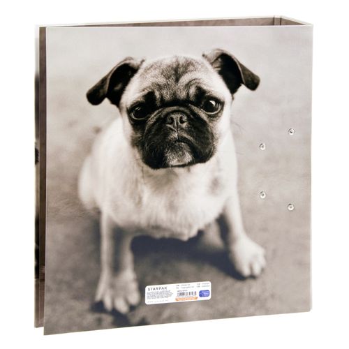 ND39_391674 I SEGREGATOR A4/70 STK PSY PUD 1/20 na Arena.pl