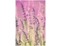 40X60CM LAWENDA OBRAZ