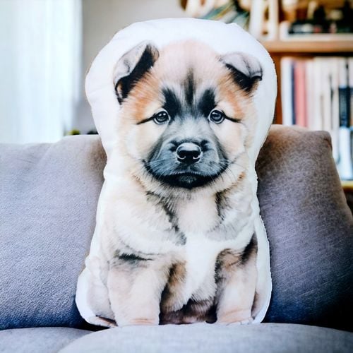 Poduszka piesek przytulanka maskotka z psem pluszowy pies akita inu na Arena.pl