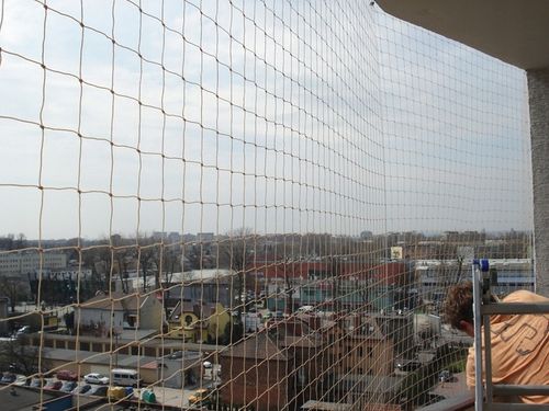 SIATKA ZABEZPIECZAJĄCA NA BALKON DLA KOTA PRZECIWKO PTAKOM 2x3m na Arena.pl