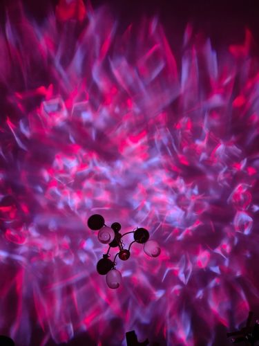 PROJEKTOR GWIAZD LAMPKA NOCNA RZUTNIK LED JAJO DINOZAURA DLA DZIECI PREZENT na Arena.pl