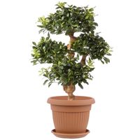 Donica okrągła 50 cm + podstawka Terrakota