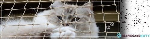 ZESTAW SIATKA NA BALKON DLA KOTA 6x3 BEZ WIERCENIA MARKA BEZPIECZNE KOTY na Arena.pl
