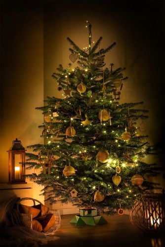 STOJAK CHOINKOWY PODSTAWKA POD CHOINKĘ DO 2 M na Arena.pl