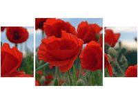 80X40CM MAKI DUNCAN TRÓJ OBRAZ