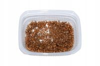 Karaczan, karaczany tureckie WYLĘG 1000 sztuk