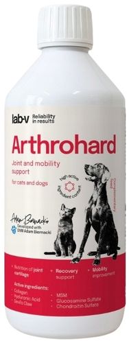 ArthroHard kwas hialuronowy MSM syrop na stawy dla psa i kota 500ml na Arena.pl