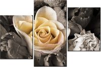 60 90CM OBRAZ 3 ELEM DELIKATNA RÓŻA ŚCIENNY DRUK PŁÓTNO
