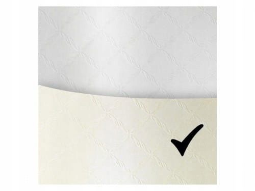 karton ozdobny chic kremowy 230g/m2 (20) 4625 na Arena.pl