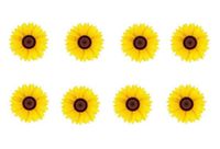 Wydruk cukrowy na tort A5 kwiaty żółte słonecznik DIY