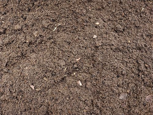 Podłoże dla żółwia greckiego stepowego lądowego Testudo Soil Baby 10 L na Arena.pl