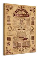 Harry Potter (Quidditch At Hogwarts)  - obraz na płótnie 60x80 cm