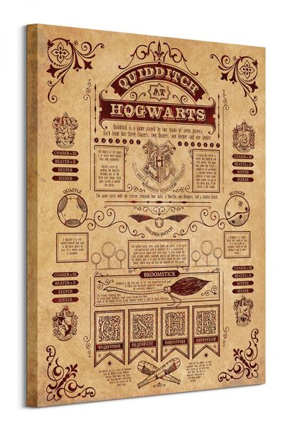 Harry Potter (Quidditch At Hogwarts) - obraz na płótnie 60x80 cm zdjęcie 1