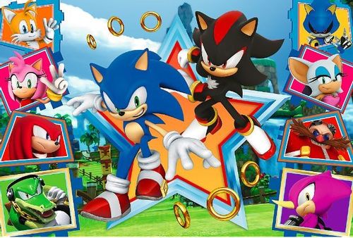 Puzzle 100 Elementów Poznaj Sonica Sonic na Arena.pl