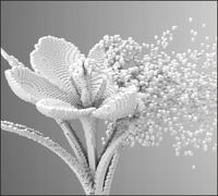 Tło do fotografii produktowej kulinarnej Flat Lay