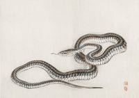 Plakat 59,4x42cm Snake, Kōno Bairei