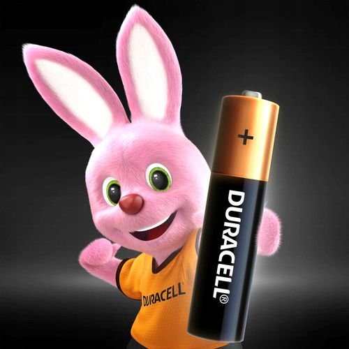 Bateria alkaliczna Duracell AA (R6) 10szt. na Arena.pl
