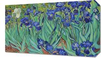Obraz 50x30cm Irises, Van Gogh Vintage do Salonu