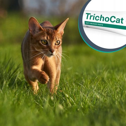 Pasta odkłaczająca dla kotów preparat odkłaczanie Vet Expert Trichocat 50 g na Arena.pl