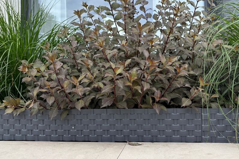 Palisada RATTAN 80 cm antracyt (athracite) zdjęcie 2