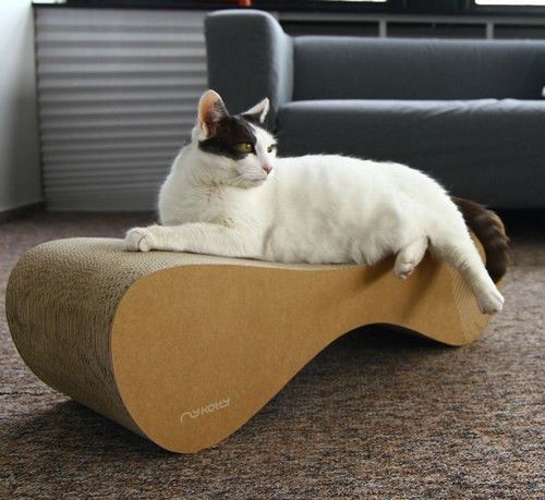 MyKotty Drapak Vigo brązowy na Arena.pl