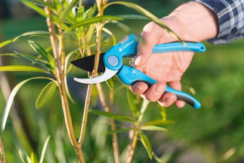 Sekator Ogrodowy Do Krzewów Gałęzi Nożyce Ręczne Cellfast CELLPRO na Arena.pl