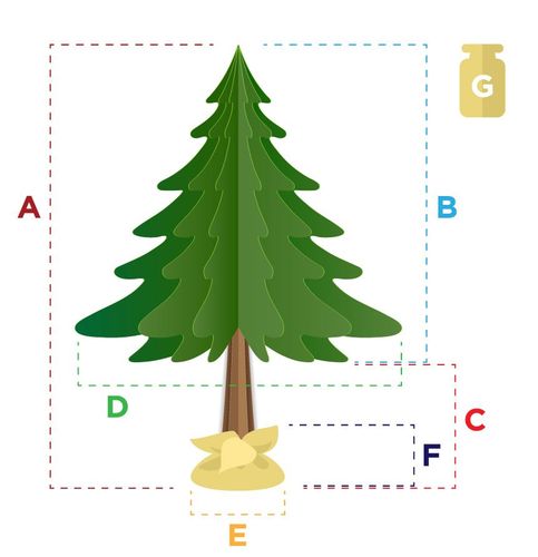 CHOINKA NA PNIU 160 CM SOSNA GÓRSKA PREMIUM JAK ŻYWA ŚWIĄTECZNA na Arena.pl
