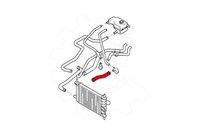 Przewód chłodnicy FORD FIESTA 1996 1997 1998 1999 2000 2001 2002 2003