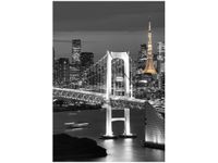 OBRAZ RAINBOW BRIDGE WANGAN