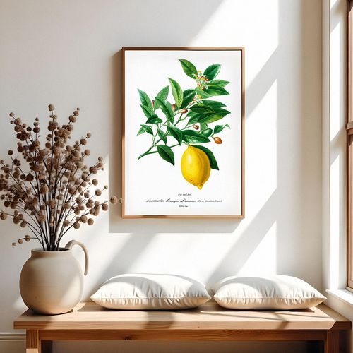 Plakat cyfrowy do wydruku cytryna na Arena.pl