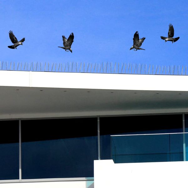 10x METALOWE KOLCE NA PTAKI GOŁĘBIE GĘSTE PRZECIW PTAKOM KUNOM NIERDZEWNE zdjęcie 7