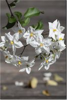 product-compare-58710491