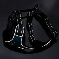 SZELKI DLA MAŁEGO PSA BEZUCISKOWE SPACEROWE MOCNE ODBLASKI REGULACJA r. M