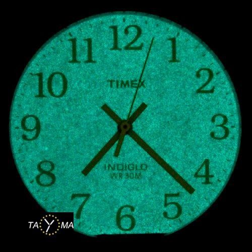 TIMEX T2P505 (zt057a) na Arena.pl