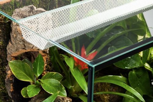 Diversa Terraset Forest 45 (zestaw) na Arena.pl