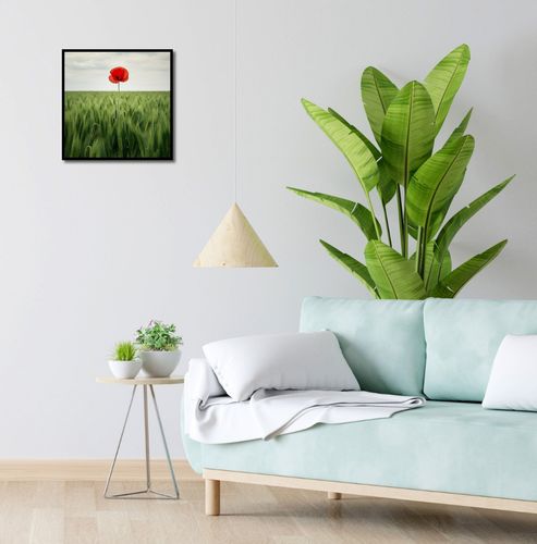 Plakat 40x40cm Samotny Mak na Polu na Arena.pl