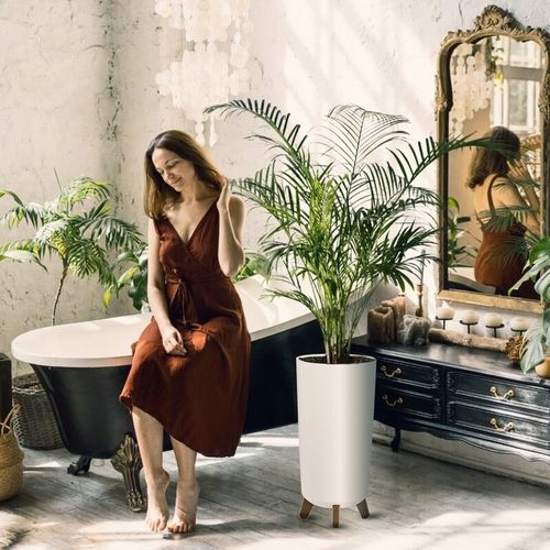 DONICA DONICZKA WYSOKA KWIETNIK STOJĄCY NA NÓŻKACH DO DOMU OGRODOWA BIAŁA na Arena.pl