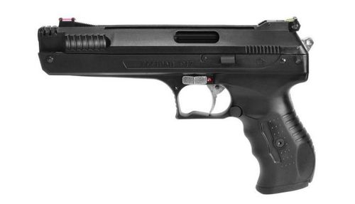 PIS.PN. BEEMAN P-17 PCA mod 2004/P17 4,5 (2004) na Arena.pl