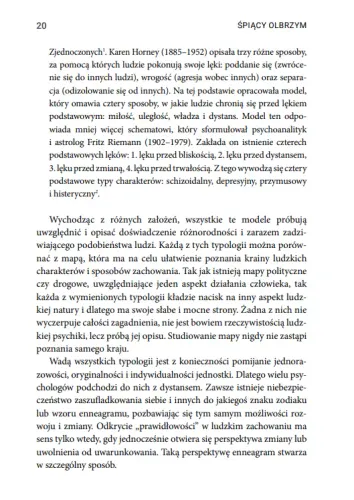 Enneagram. Dziewięć Typów Osobowości na Arena.pl