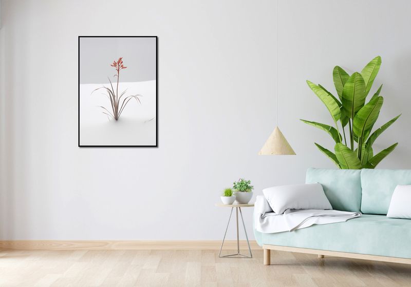 Plakat 64x90cm Subtelność Natury zdjęcie 4