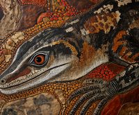 Plakat 60x50cm Oko Jaszczurki