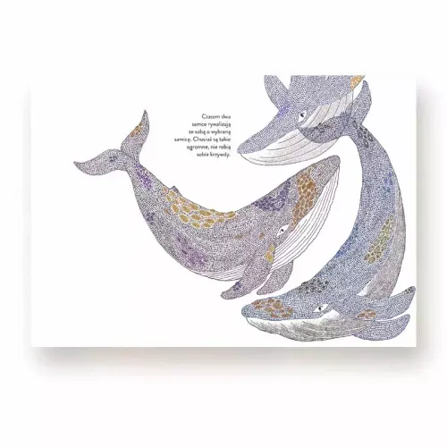 Narodziny na Arena.pl