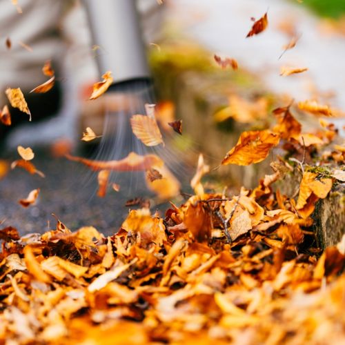 DMUCHAWA ELEKTRYCZNA DO LIŚCI 3500W ODKURZACZ ROZDRABNIACZ 3W1 45L TOP na Arena.pl