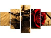 75CM 120 OBRAZ 5 ELEM RÓŻA SEPII ŚCIENNY DRUK