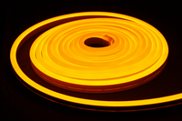 SIGNAGE NEON indoor 12V/12W/m golden-yellow