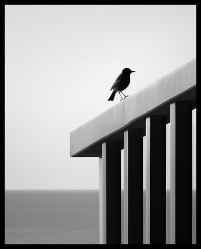 Plakat 40x50cm Samotna Odchłań na Arena.pl