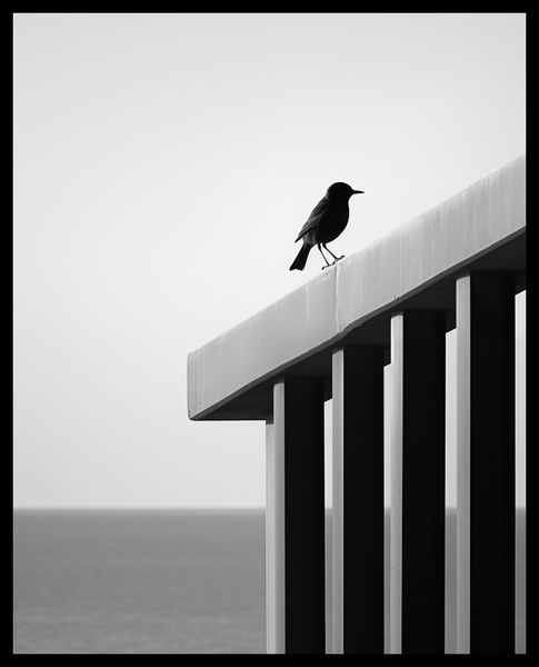 Plakat 40x50cm Samotna Odchłań zdjęcie 2